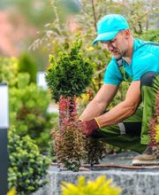 Jardiniers SAP Troarn image 3