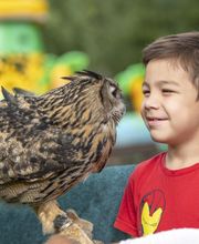 Elbe-Freizeitland Bild 3