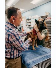 Stevenson Village Veterinary Hospital image 14