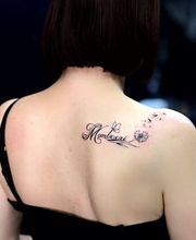 Dragon Studio Bild 8