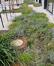 KAVA Garten & Landschaftsbau Bild 7