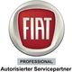 Auto Ascher GmbH & Co. KG
