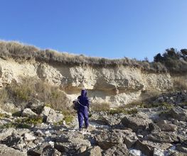 Dardard17 image 7