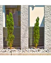 Haus Und Grün GmbH Bild 8