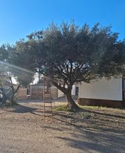 Au Gré Des Arbres image 9