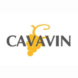 Cavavin