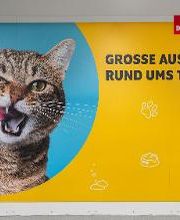 DAS FUTTERHAUS - Pforzheim Bild 5