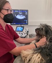 Kleintierpraxis DOCPOX Hannover Bild 5