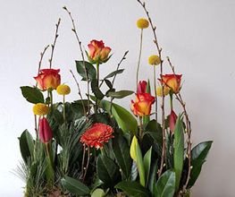 Blumen Steinhilber Weiden Bild 3