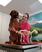 dr. Mazzi Michele Bild 4