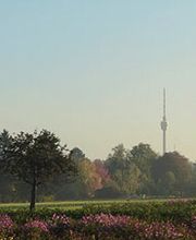 Thilo Rose Immobilien Bild 2