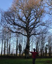 SAM EN CIMES image 3