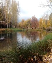 Lysmar, Centro de Psicología. imagen 7