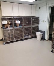 Monmouth Small Animal Hospital image 8