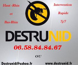destrunid image 1