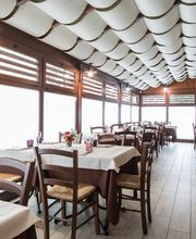 Gallery Professionale