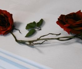 Beerdigungsinstitut Fries Bild 5