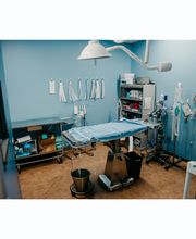 Stevenson Village Veterinary Hospital image 4