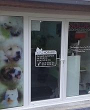 Aux 101 Dalmachiens image 8