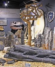 Welt der Kristalle Museum & Shop Bild 9