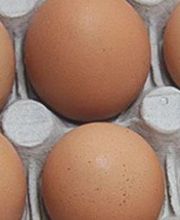 Sas Oeufs Arradoy image 1