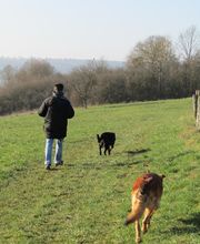 Animal & Vous image 7