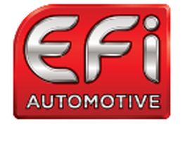 EFI Automotive image 4