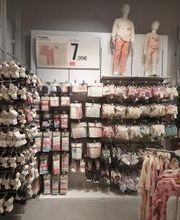 Orchestra LECOUSSE image 9