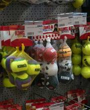 Habekost Heimtiermarkt Bild 19