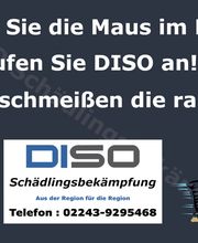 DISO Schädlingsbekämpfung Bild 5