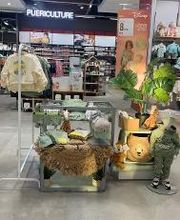 Orchestra NIMES image 5