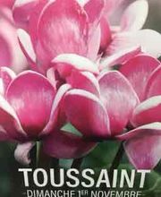 L' Orchidée image 7