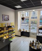 Breizh Nuisibles Services image 5