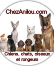 ChezAnilou image 8