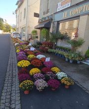 LE COMPTOIR DES FLEURS image 3