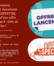 BADIS EXPERTISE image 5