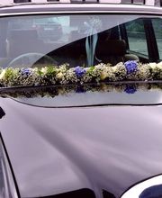 Regina's Blumenladen Bild 2