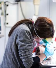 TotalBond Veterinary Hospital at Forestbrook image 17