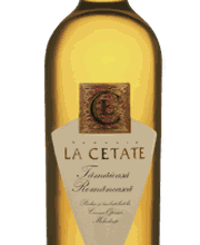 Ciausoiu Vinothek Bild 5