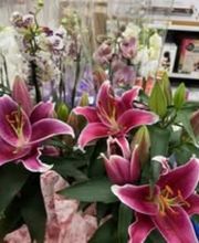 Intermarché SUPER Vabres L'abbaye image 7