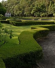 SilvaTech Gebäudedienste