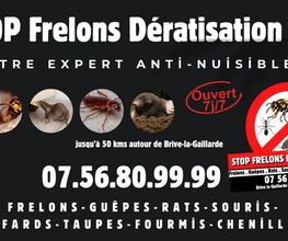 Stop Frelons image 11