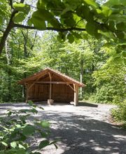FriedWald Burg Plesse Bild 10