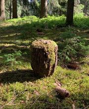 Bestattungen Neumann e. K. Bild 4