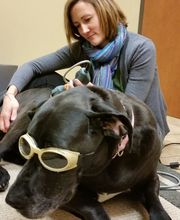 Mission Road Animal Clinic image 1