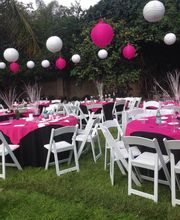 Sander Jumpers and Party Rentals image 14