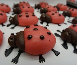 Zeller Chocolatier SA Bild 9