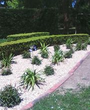 Baeza Christophe image 13