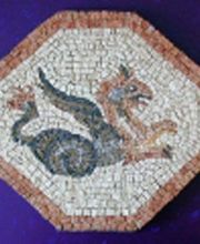 Linhardt Andreas Bild 5