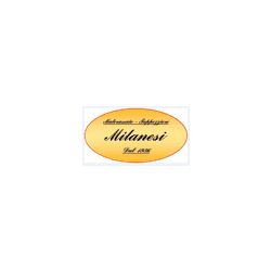 Milanesi Davide logo